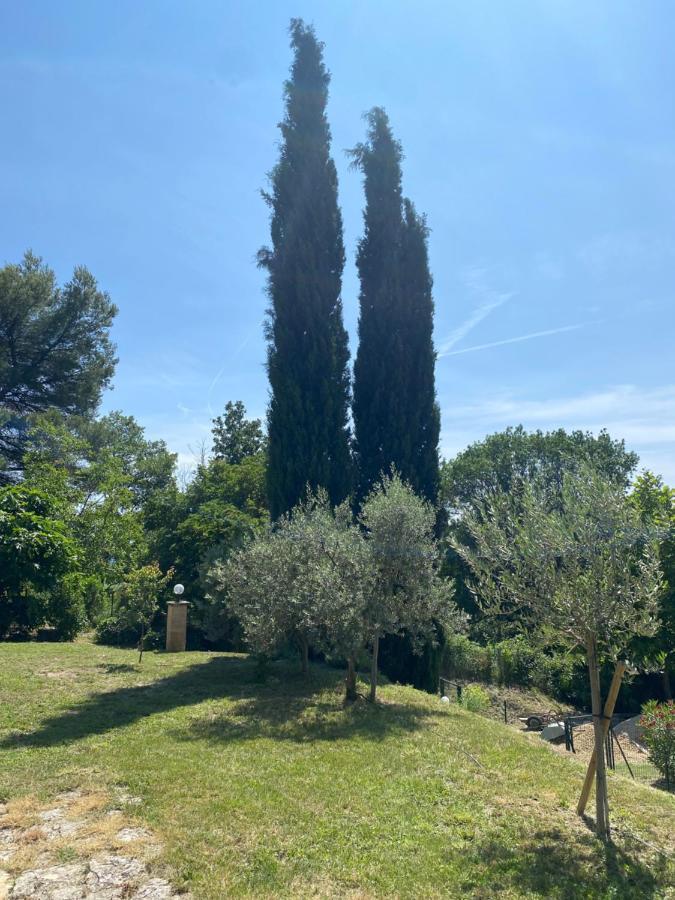 הוילה Vaugines Les Oliviers מראה חיצוני תמונה